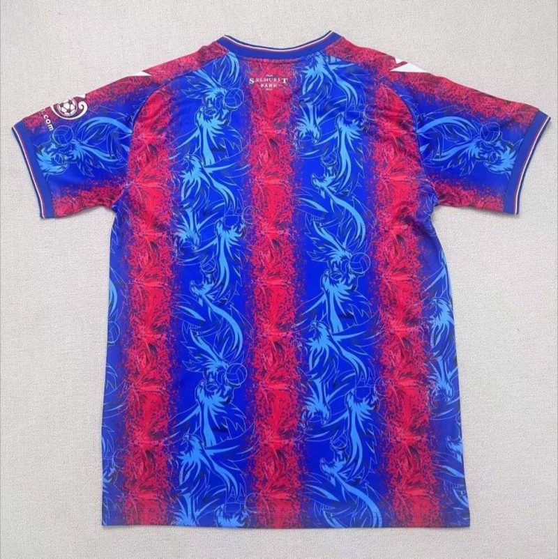 24 25 Crystal Palace home